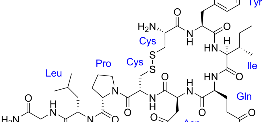 Oxytocin &#8211; everything you need to know, composition, application