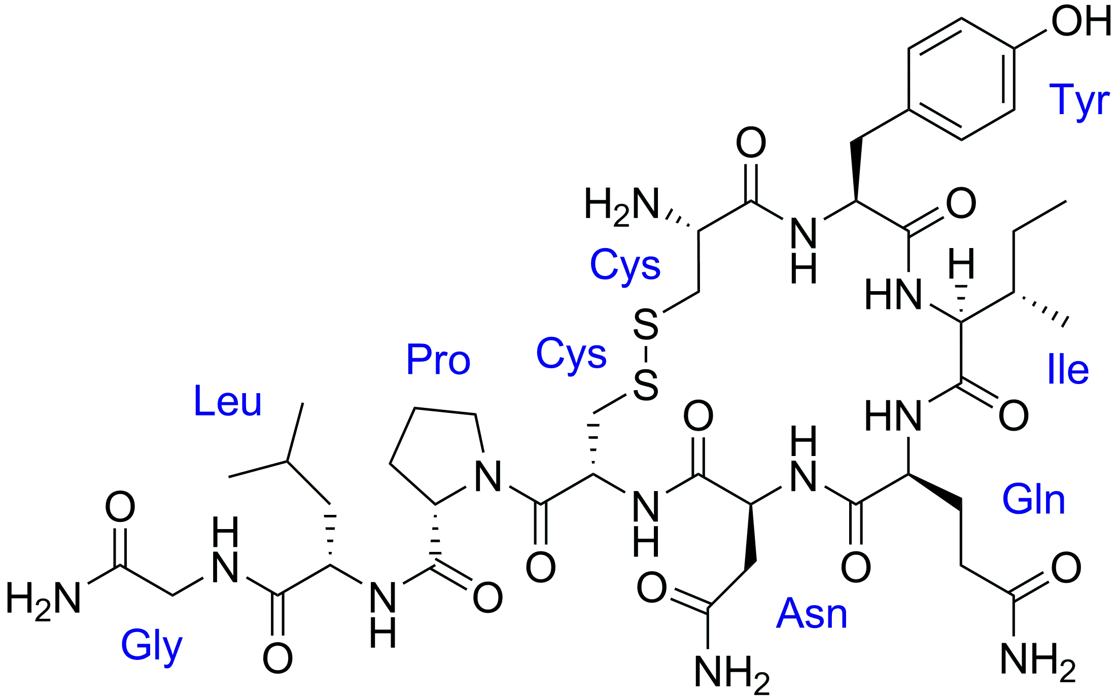 Oxytocin &#8211; everything you need to know, composition, application