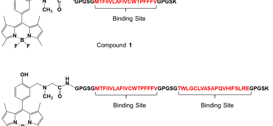 Oxytocin level as an indicator of compound stability