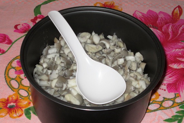 Oyster mushroom cream soup: recipes with potatoes, cream