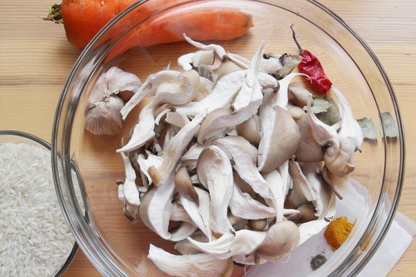 Oyster mushroom dishes: recipes for a slow cooker