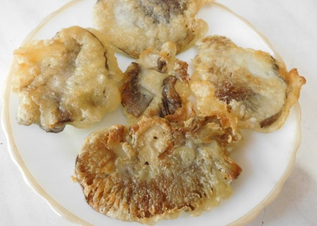 Oyster mushroom recipes in batter: cooking secrets, photos