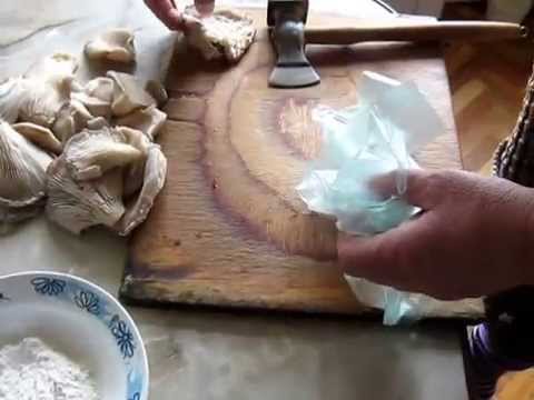 Oyster mushroom recipes in batter: cooking secrets, photos