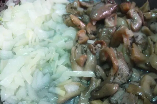 Oyster Mushroom Sauce with Cream: Recipes with Photos