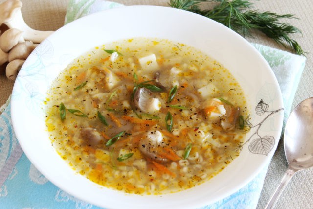 Oyster Mushroom Soup: Recipes with Chicken, Vermicelli, Barley, Rice