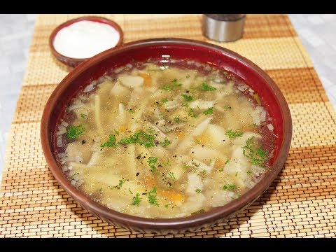 Oyster Mushroom Soup: Recipes with Chicken, Vermicelli, Barley, Rice