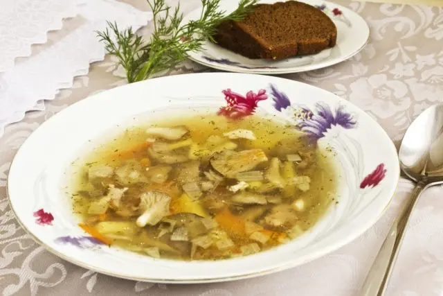 Oyster Mushroom Soup: Recipes with Chicken, Vermicelli, Barley, Rice
