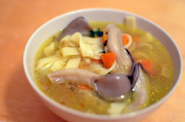 Oyster Mushroom Soup: Recipes with Chicken, Vermicelli, Barley, Rice