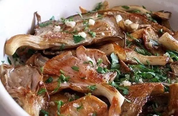 Oyster mushrooms: how much to fry in a pan, delicious cooking recipes