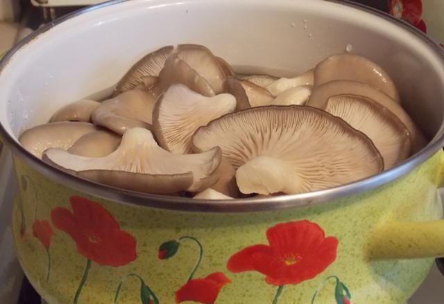 Oyster mushrooms: how much to fry in a pan, delicious cooking recipes