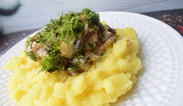 Oyster mushrooms in sour cream in a pan and in the oven: with onions, potatoes, pork