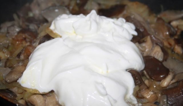 Oyster mushrooms in sour cream in a pan and in the oven: with onions, potatoes, pork