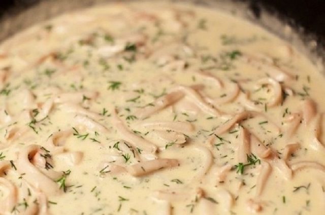 Oyster mushrooms in sour cream in a pan and in the oven: with onions, potatoes, pork