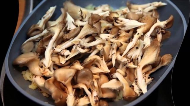 Oyster mushrooms in sour cream in a pan and in the oven: with onions, potatoes, pork