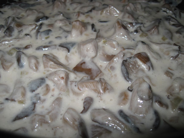 Oyster mushrooms in sour cream in a pan and in the oven: with onions, potatoes, pork