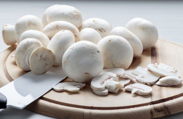 Oyster mushrooms or champignons: which is healthier and tastier