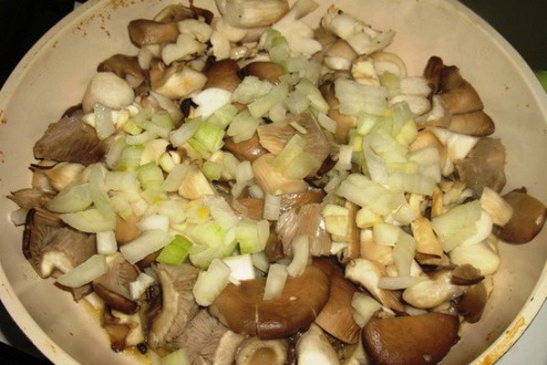 Oyster mushrooms with cabbage: cooking recipes with photos