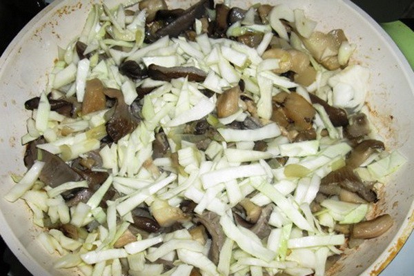 Oyster mushrooms with cabbage: cooking recipes with photos