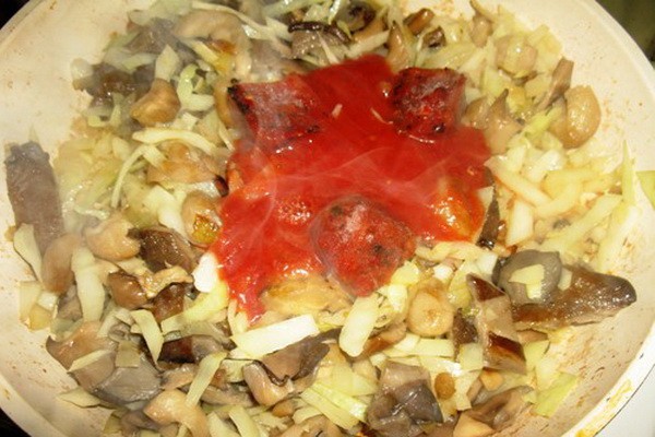 Oyster mushrooms with cabbage: cooking recipes with photos