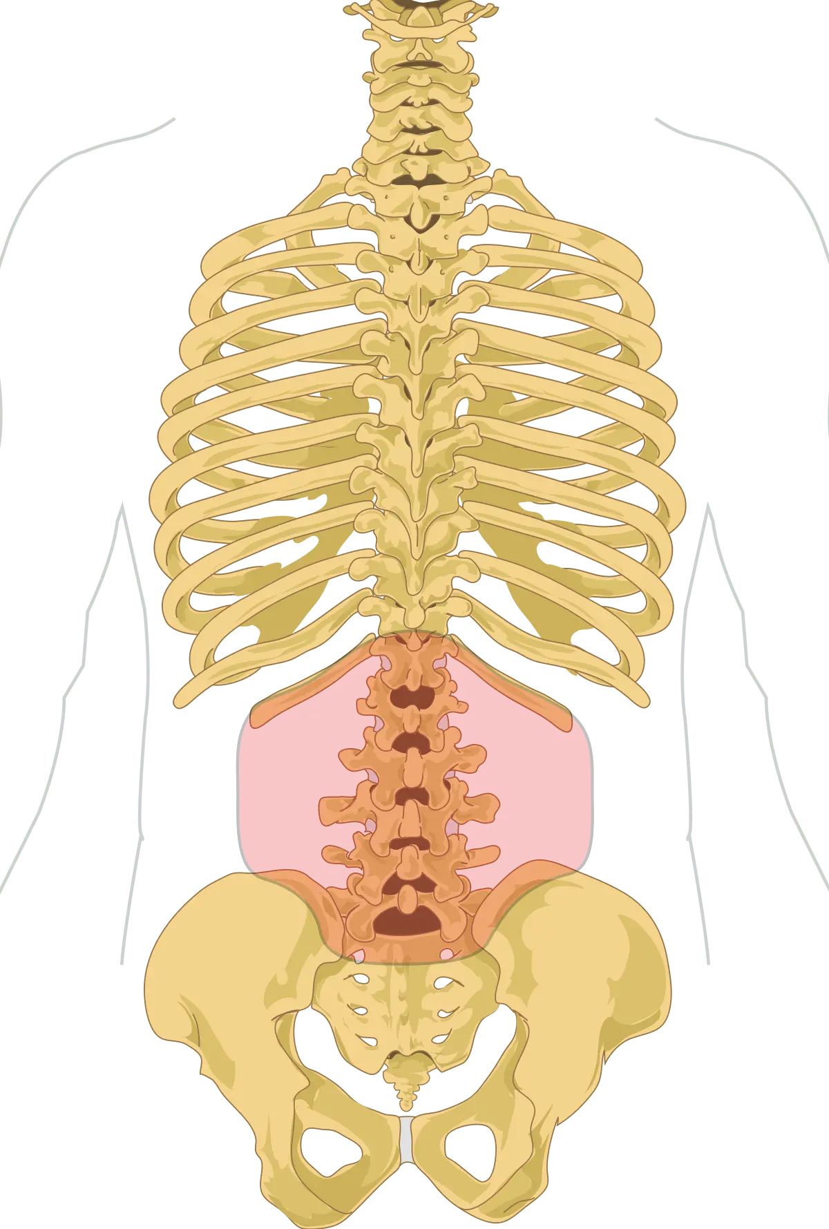 Pain in lumbalgia &#8211; characteristics and management