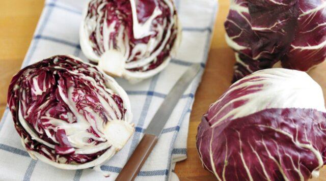 Pala Rossa chicory salad: planting, benefits, reviews