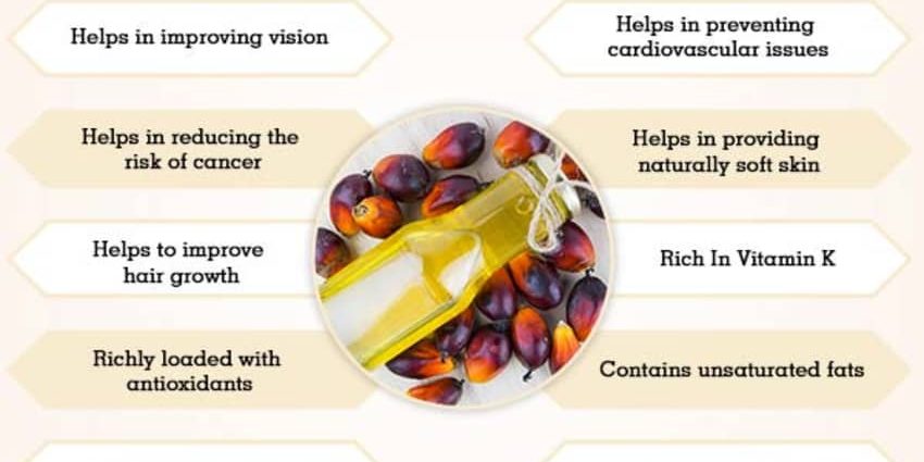 Palm oil &#8211; properties and application. Is palm oil harmful?