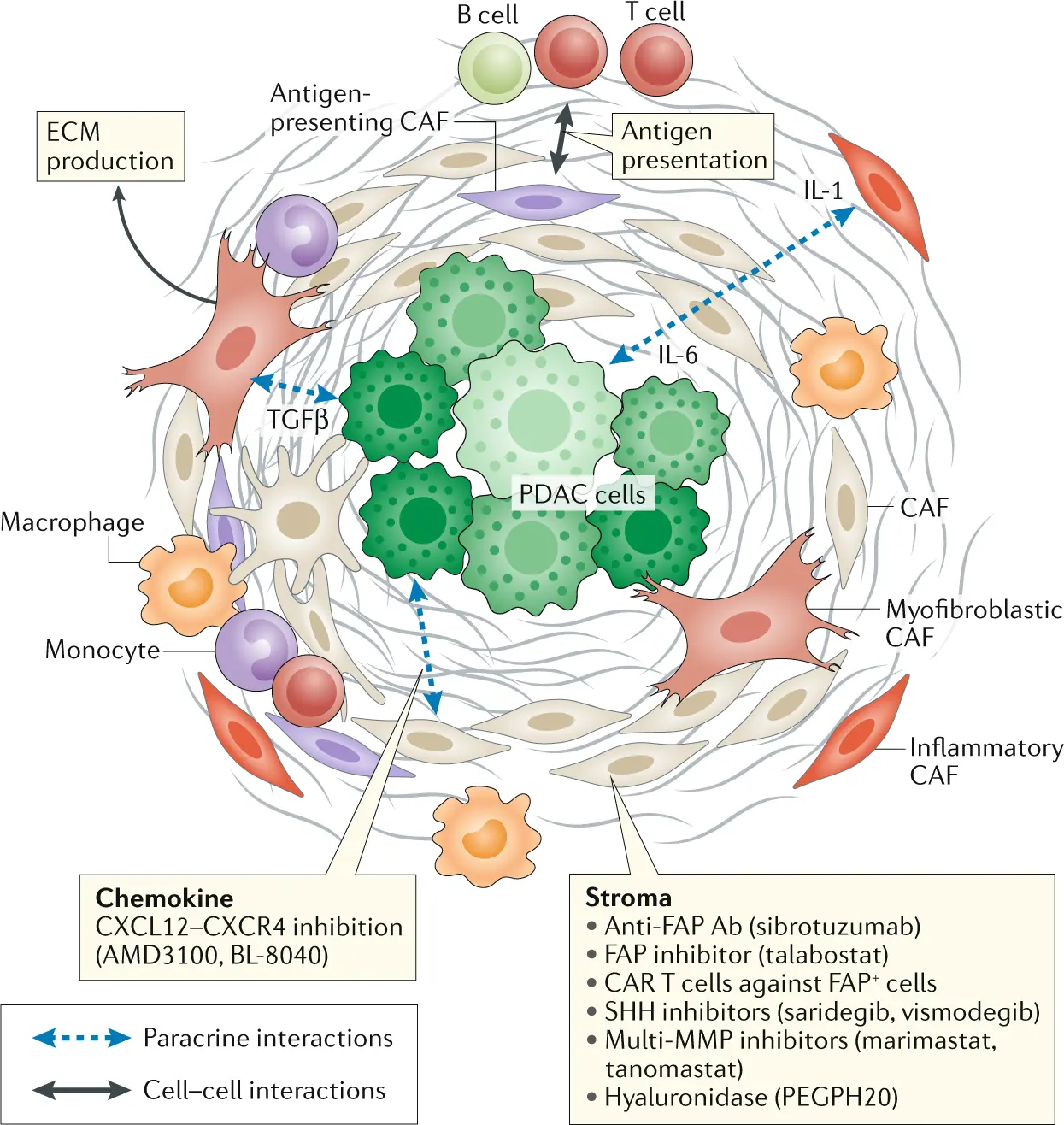 Pancreatic cancer is a challenge for oncology