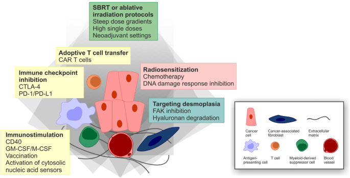 Pancreatic cancer is extremely malignant. «At the time of diagnosis, 80 percent patients are only suitable for palliative treatment »