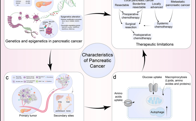 Pancreatic cancer is one of the most deadly cancers. Doctor: weeks count