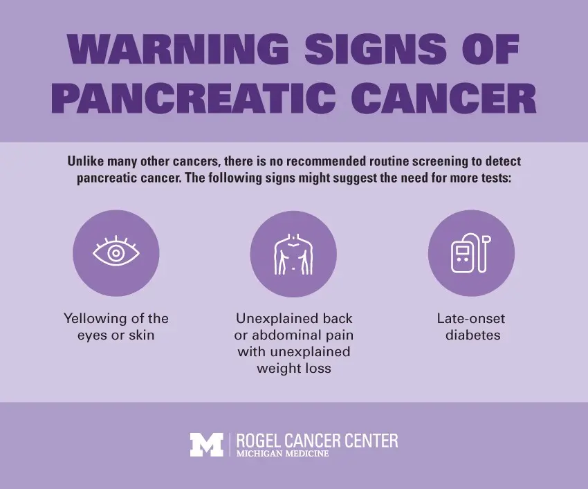 Pancreatic cancer &#8211; symptoms, treatment, prognosis