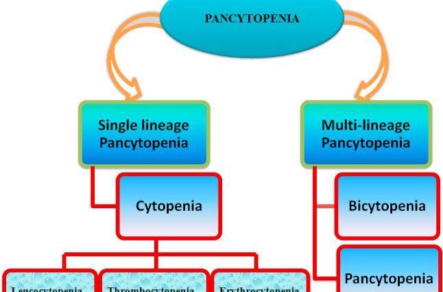 Pancytopenia &#8211; what it is, what are the causes, treatment