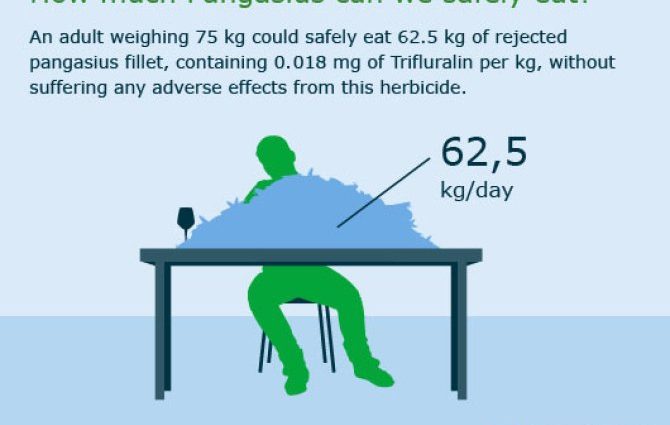 Pangasius full of toxins and antibiotics? What does the research say?