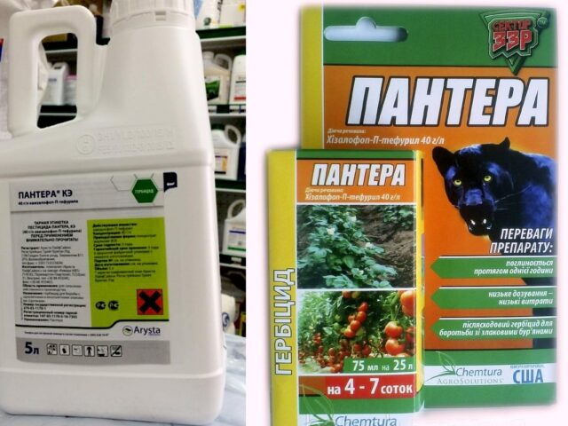 Panther weed preparation: instructions for use, consumption rate