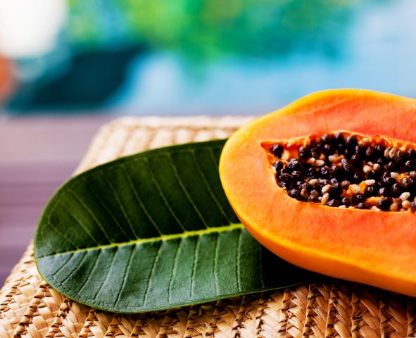 Papaya: benefits and harms