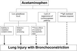 Paracetamol increases the risk of asthma