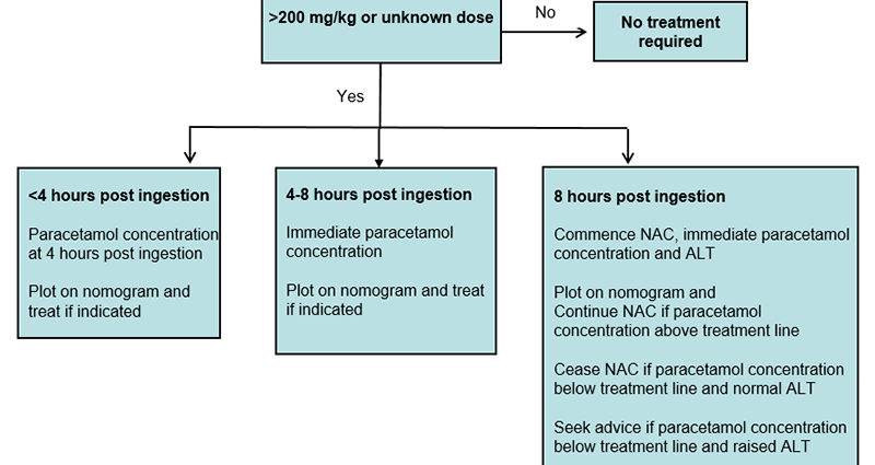 Paracetamol poisoning &#8211; toxic effect, first aid