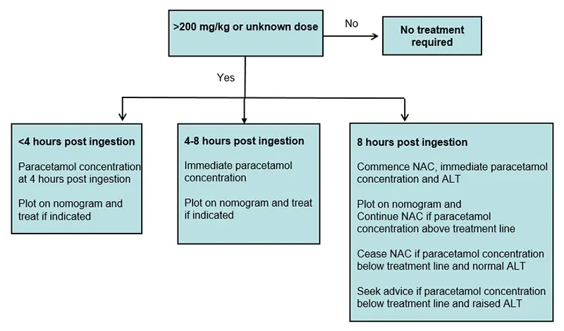 Paracetamol poisoning &#8211; toxic effect, first aid