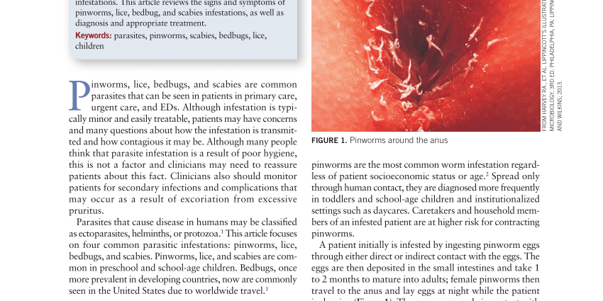 Parasitic diseases &#8211; pinworms, scabies, head lice