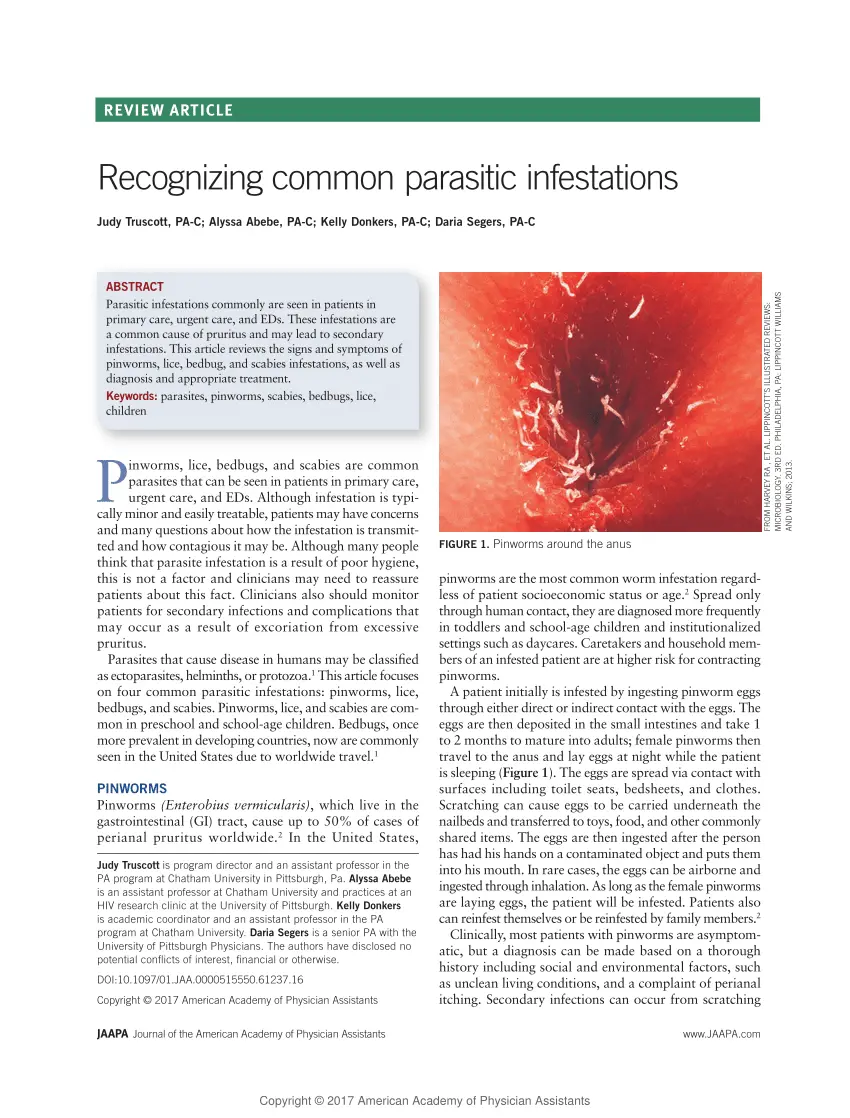 Parasitic diseases &#8211; pinworms, scabies, head lice
