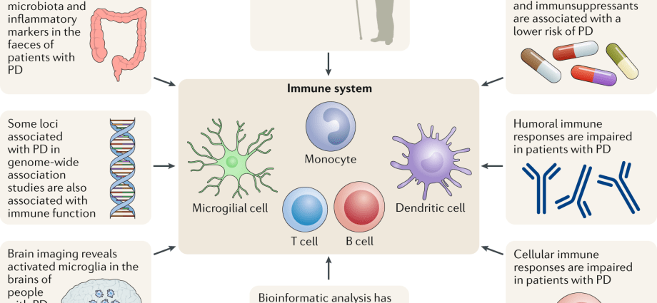 Parkinson&#8217;s disease has to do with immunity