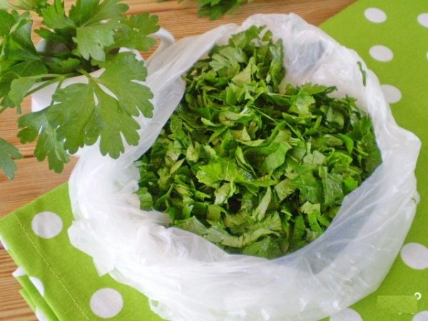 Parsley for the winter: how to keep fresh herbs