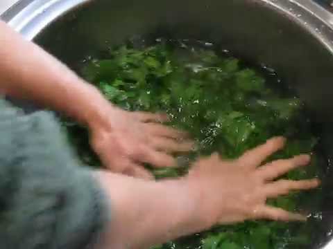 Parsley for the winter: how to prepare greens according to the best recipes and preserve flavor