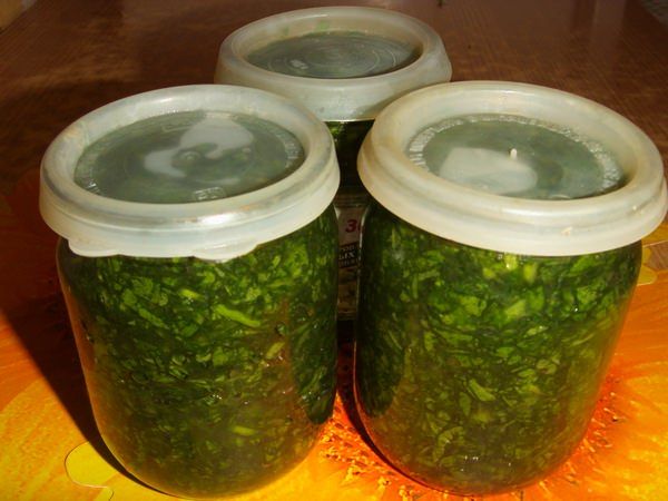 Parsley for the winter: how to prepare greens according to the best recipes and preserve flavor