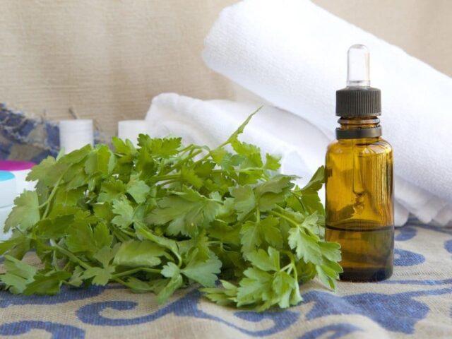 Parsley ice for the face: how to make, recipes, benefits, reviews