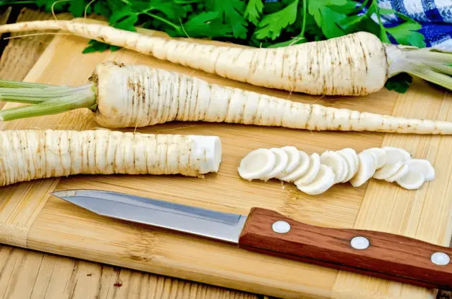 Parsley root: what is useful, how to use, what helps, what it looks like, photo