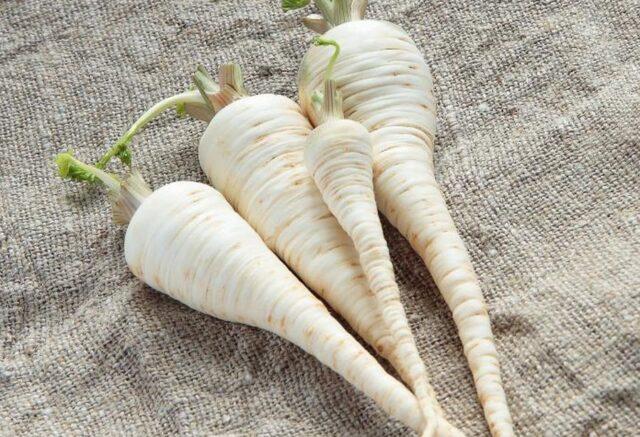 Parsley root: what is useful, how to use, what helps, what it looks like, photo