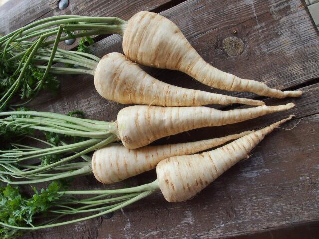 Parsley: vegetable or herb, perennial or annual crop, name, varieties