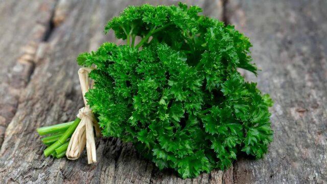 Parsley: vegetable or herb, perennial or annual crop, name, varieties