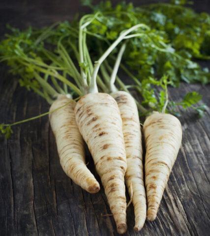 Parsley: vegetable or herb, perennial or annual crop, name, varieties