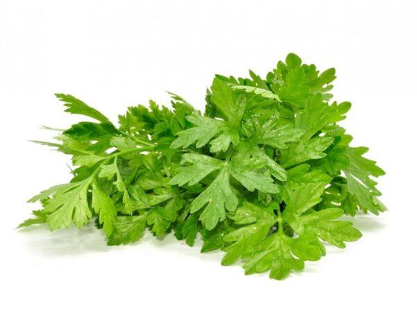 Parsley: vegetable or herb, perennial or annual crop, name, varieties